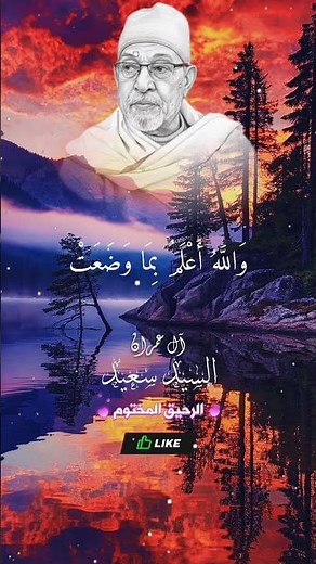 فلما وضعتها قالت رب اني وضعتها انثى - السيد سعيد