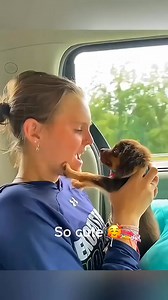 208K views · 4.3K reactions | Animals are human's friend ❤️ | Amazing Life Channel | Facebook