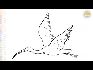 Scarlet ibis flying drawings | Birds drawing tutorial | How to draw A Ibis easy steps | #artjanag