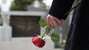 52K views · 846 reactions | Help provide comfort to your loved ones...