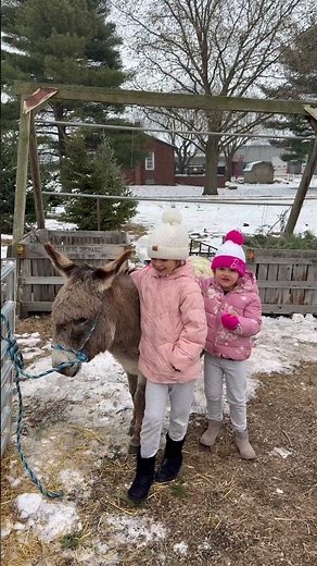 A Winter weekend in Amish Country| Short version #amishcountry. #ohioairbnb