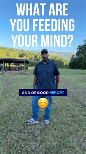 What Are You Feeding Your Mind? | Philippians 4:8