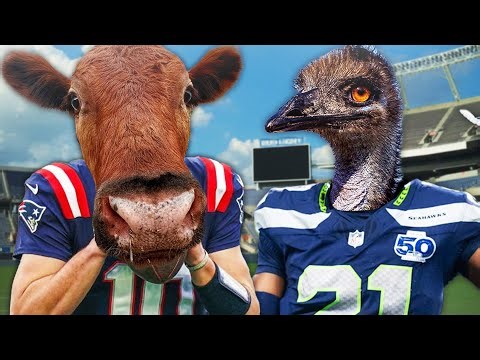 Alveus Ambassadors Leak The Big Game Winner