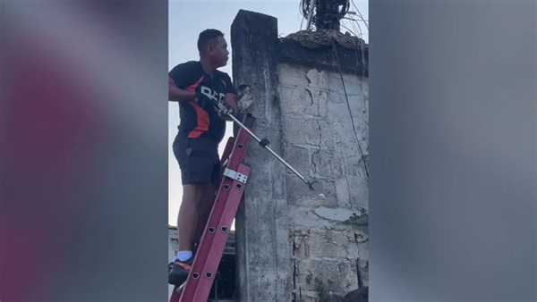 Firemen use bare hands to remove python coiled within live wires