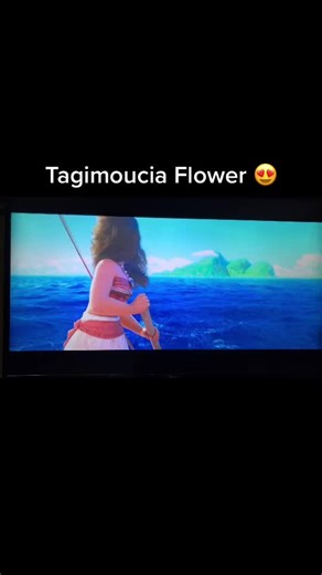 Discover the Beauty of the Tagimoucia Flower in Fiji