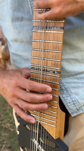 Most people have never seen this instrument before #guitar #instrumental #chapmanstick