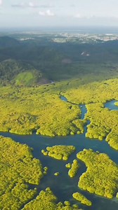 #AmazonRainforestDay Today is Amazon Rainforest Day and...