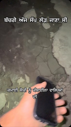 15K views · 172 reactions | @ninder_ratton_4000 | Ninder Ratton | Facebook