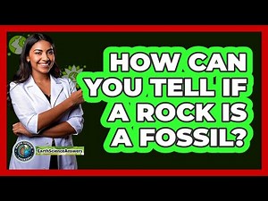 How Can You Tell If A Rock Is A Fossil? - Earth Science Answers