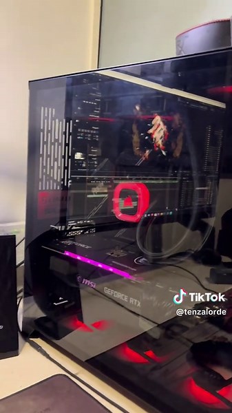 tenzalorde on TikTok