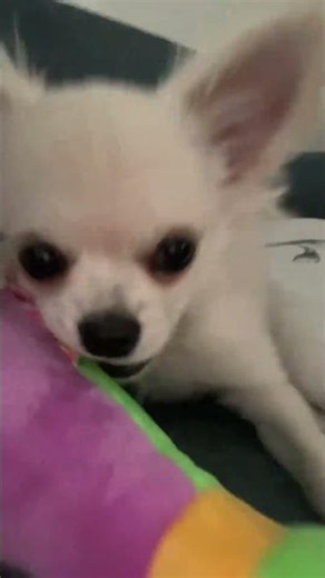 #remix #music #hiphop #kids #funny #memes