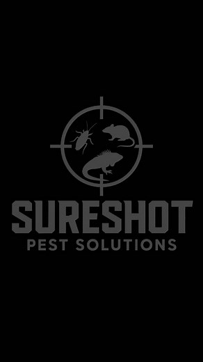 Bugs, Rodents, or Iguanas — We Never Miss! #pestcontrol #pestcontrolservice #pestmanagment #pests #exterminator #southfloridapest #cockroachexterminator #southflorida #lawncare #wildlifecontrol #iguanaremoval #iguanacontrol #iguana #invasivespecies #bocaraton #deerfieldbeach #delraybeach #pompanobeach #ftlauderdale #miami #cockroach #pests #deerfieldbeach #deerfield | Sure Shot Pest Solutions