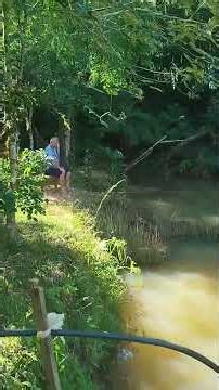 26 de dezembro de 2025