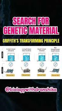 Griffith’s Transforming Principle: The key step in the search for genetic material! #genetics #dna