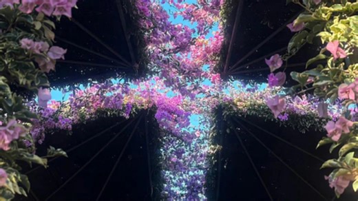 【愿望助推器】 booster 稳定SC 清理+融合/收听过的sub仅保留正向作用消除不适