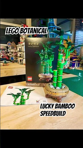 Lego Botanical Lucky Bamboo Speedbuild