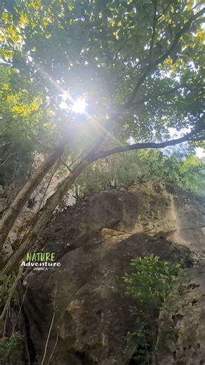 Land of Wood and Water #reggae #jamaica #nature