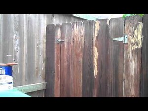 Painting fence with Rust-Oleum Restore Deck Start Wood Primer