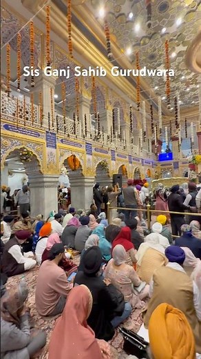 #shorts #shortsfeed #waheguru #gurudwara #sisganjsahib #dhanguruteghbahadursahibji #350shahididihara