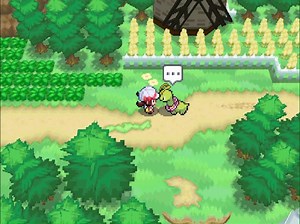 NDS: Custom gen 5 style map running on HGSS