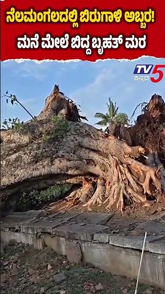 Nelamangala | ನೆಲಮಂಗಲದಲ್ಲಿ ಬಿರುಗಾಳಿಯ ಅಬ್ಬರ! ಮನೆ ಮೇಲೆ ಉರುಳಿ ಬಿದ್ದ ಬೃಹತ್ ಅರಳಿ ಮರ