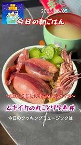 「ムギイカの丸ごとワタ煮丼〜直送！相模湾の小さなスルメイカ〜」 #料理 #まいにちごはん #leledebea #簡単レシピ #レシピ動画 #cooking #スルメイカ #ムギイカ #朝ごはん