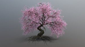 Ancient Sakura/Cherry Blossom Tree - 3D model by v_petkov