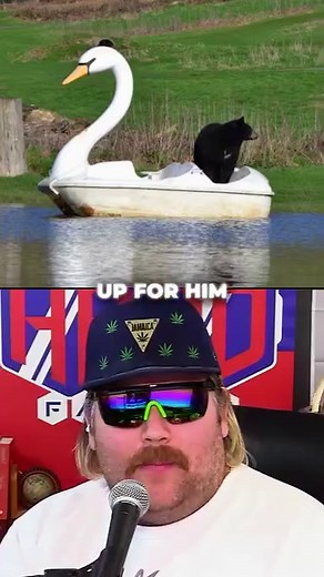 Black Bears take a ride on swan pedalo at UK Safari Park | Hard Factor