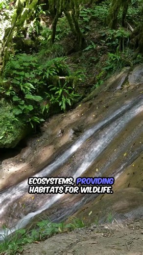 Springs Explained #explained #didyouknow #interesting #facts #amazing #science #water #geography