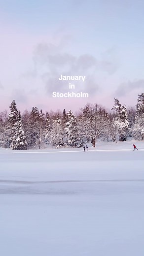 January Events and Tips for Stockholm 2026