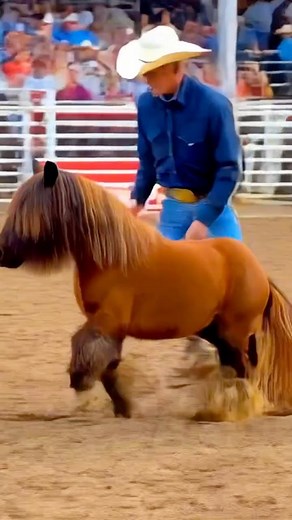 17K views · 770 reactions | This presentation delivers a focused...