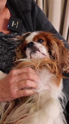 53K views · 876 reactions | When we remove reproductive hormones from...