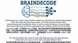 braindecode调用模型