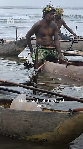 The 2024 Kontu Shark Calling Festival wrapped up in the New Ireland Province of Papua New Guinea last week, with 20 shark callers heading out to sea. After about two hours, the conch shell sounded, signalling a shark was heard. It was captured by 45-year-old Victor Conrad of Kontu Village and measured about two metres long. In this case, the shark was released back because it was too young. For more: https://www.abc.net.au/pacific/programs/pacificbeat/png-shark-calling/104051720 | ABC Pacific