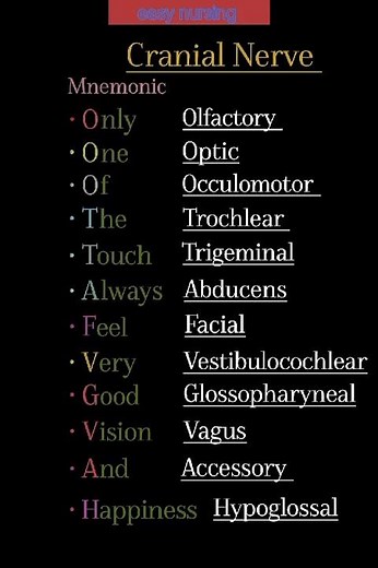 🧠 Master the 12 Cranial Nerves with Ease!This colorful mnemonic makes remembering each nerve simple.