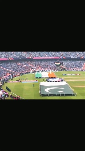 Me and My obsession with cricket🏏❤️ #shorts