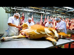 🍖 ASMR Beef Factory: Raw Pasture to Perfect Steak in 9 Hypnotic Minutes