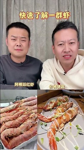 Quick Guide to Shrimp Species - Daily Diet Tips
