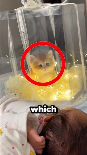 But Then Something Unexpected Happened 😞