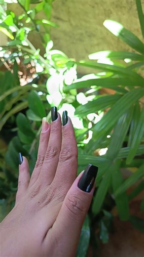 #nails #nailart #naturais #colorama