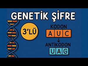 4 - Genetik Şifreyi Çöz! Kodon – Antikodon | AYT BİYOLOJİ 2026
