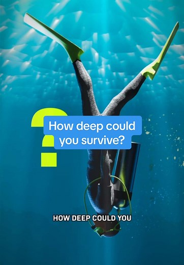 How deep could you survive underwater? Let’s say you grab a tank full of regular air and start diving down… You’d quickly pass the depth a typical open water scuba diver can go. But as you go deeper, something strange starts to happen… We’re land animals! It’s amazing we can do this. We have more videos about the deep ocean coming, so follow for more! #deepocean #deepblue #deepest #scubadiving #animation