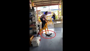 Woman screams in fear after seeing giant monitor lizard inside restaurant; video goes viral