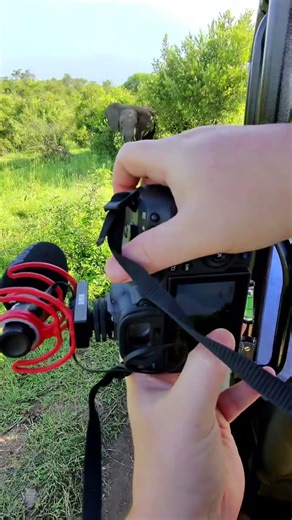 I’m a hybrid shooter. VFX and photography #photography #vfx #videography