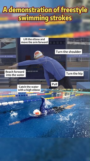 Maritonia on Instagram: "A demonstration of freestyle swimming strokes for beginners. Follow me here to learn more about swimming→ https://maritonia-sports.com #foryou #fyp #fortoupage #swim #swimming #swimwear #swimmingpool #swimminglessons #swimmer #training"