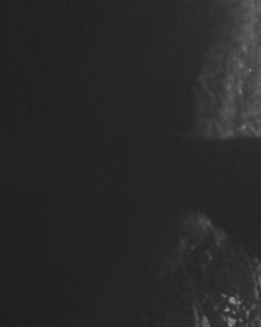 344 reactions · 13 comments | Funk Generation é o meu álbum que apresenta o funk para o mundo! Já tacou o play? Vem ouvir Grip, Ahí feat. Sam Smith, Double Team e vários hits! Taca o play!  | Anitta | Facebook