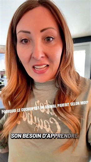 Pourquoi selon moi, le cochon est un animal parfait?