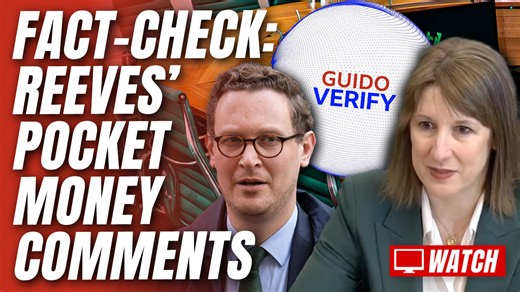 FACT-CHECK: Unrepentant Reeves Claims She Never Made Benefits 'Pocket Money' Analogy