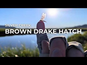Fly Fishing Silver Creek's Famous Brown Drake Hatch (Big Browns!)