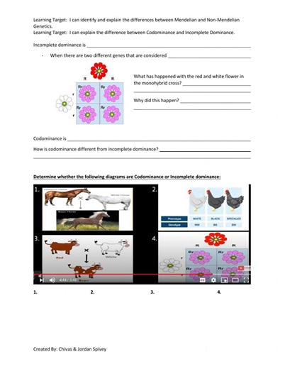 Codominance vs. Incomplete Dominance Video notes with video online exercise for 10th grade